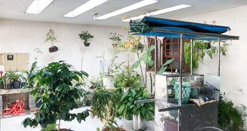 Casa, 4 quartos, 180 m² - Foto 6