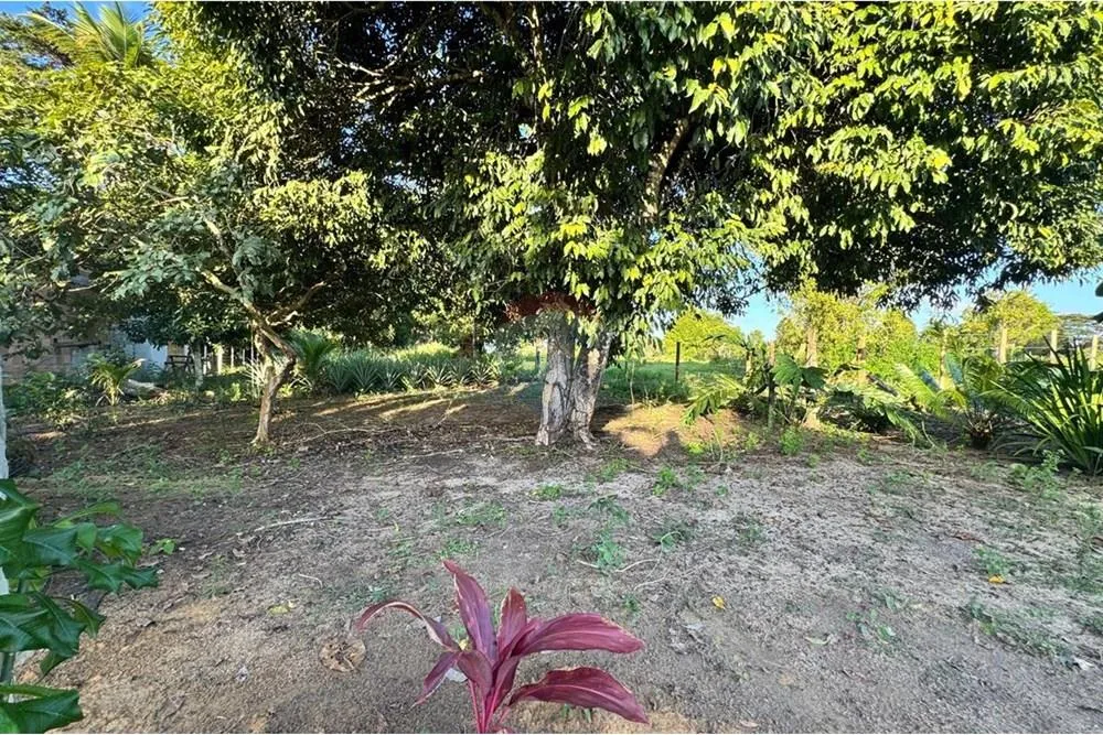 Terreno, 1350 m² - Foto 1