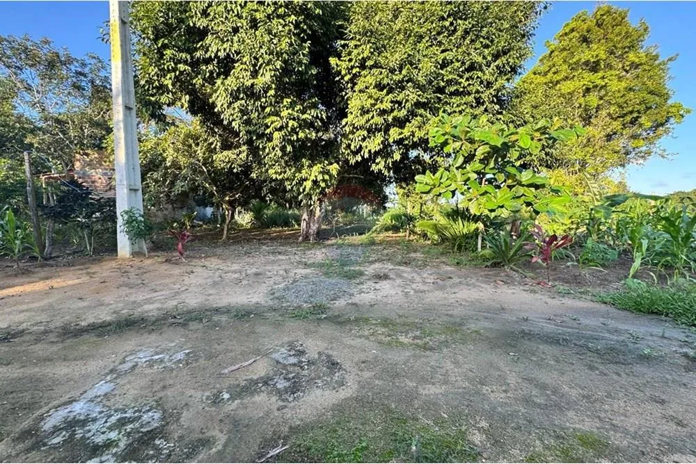 Terreno, 1350 m² - Foto 3