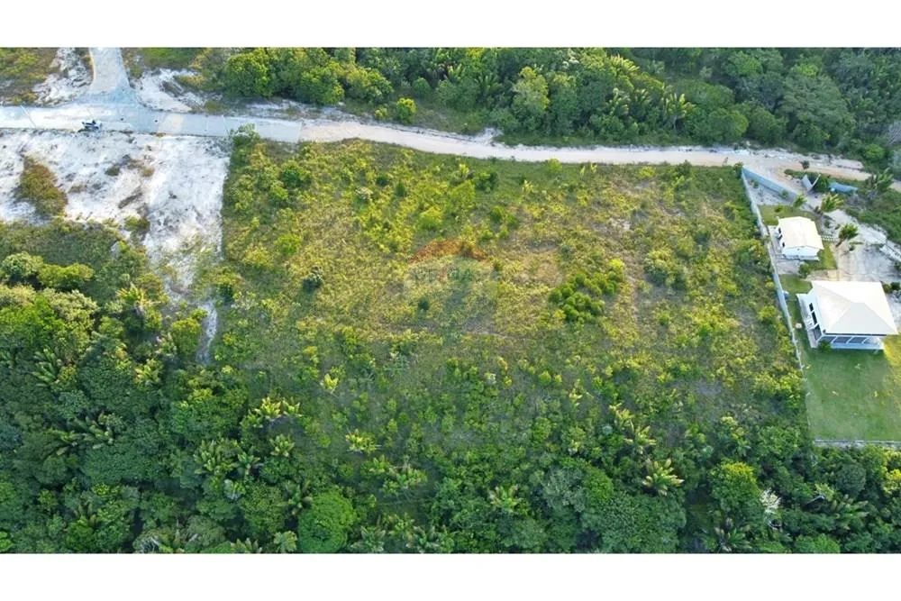 Terreno, 8500 m² - Foto 4