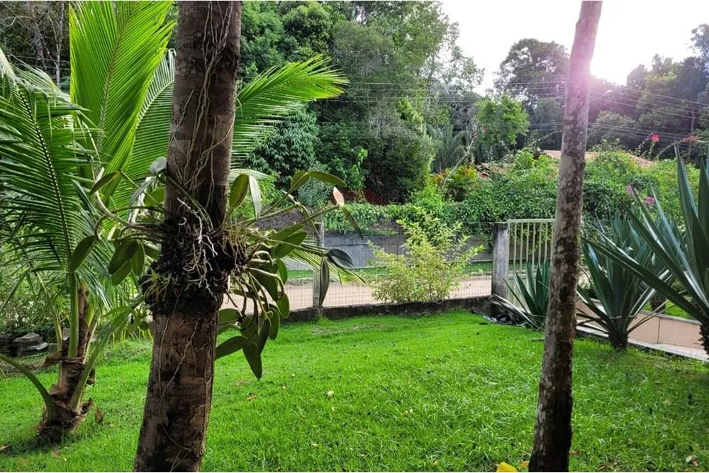Casa, 5 quartos, 300 m² - Foto 4