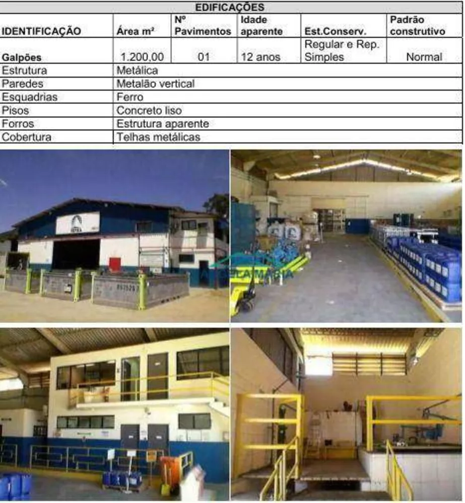 Terreno, 3 hectares - Foto 7