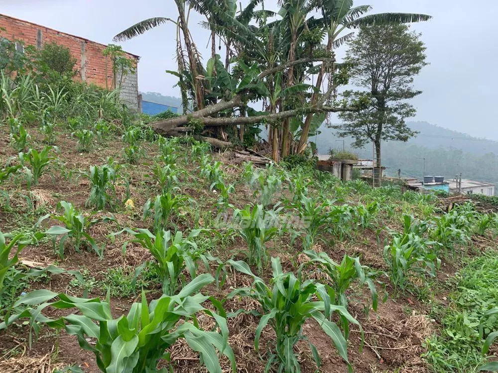 Terreno à venda, 400M2 - Foto 3