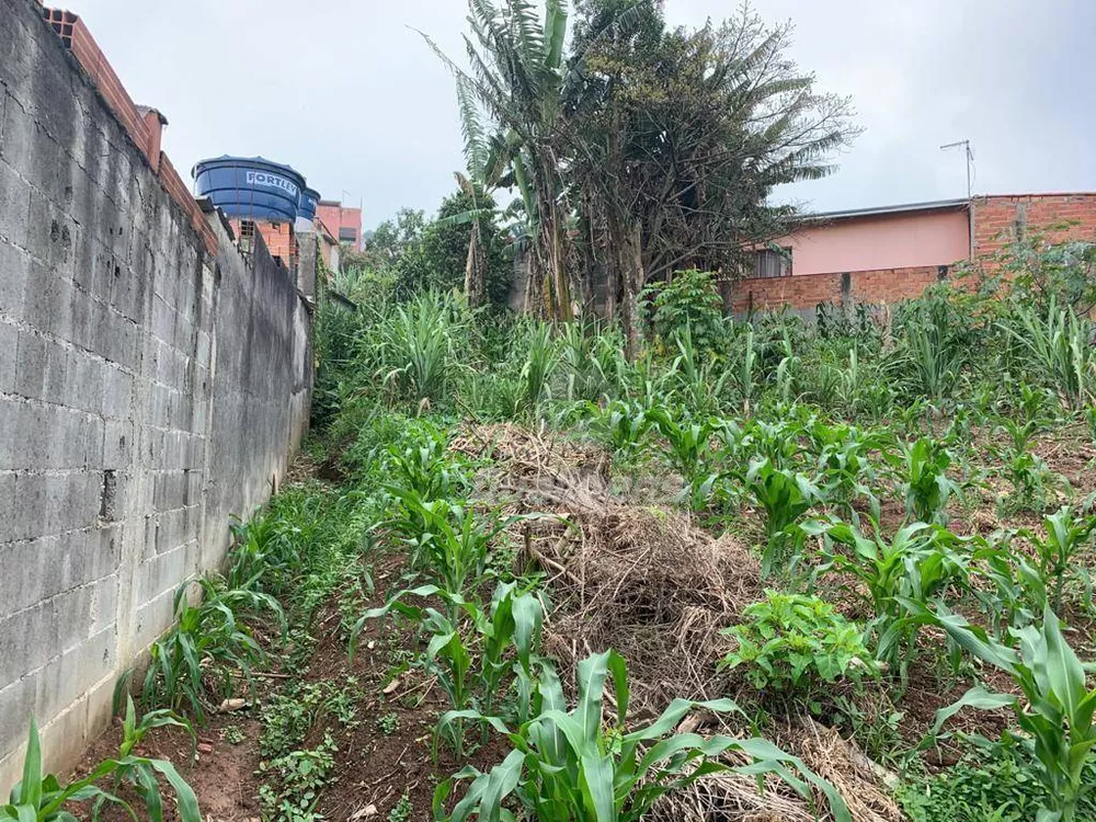 Terreno à venda, 400M2 - Foto 2