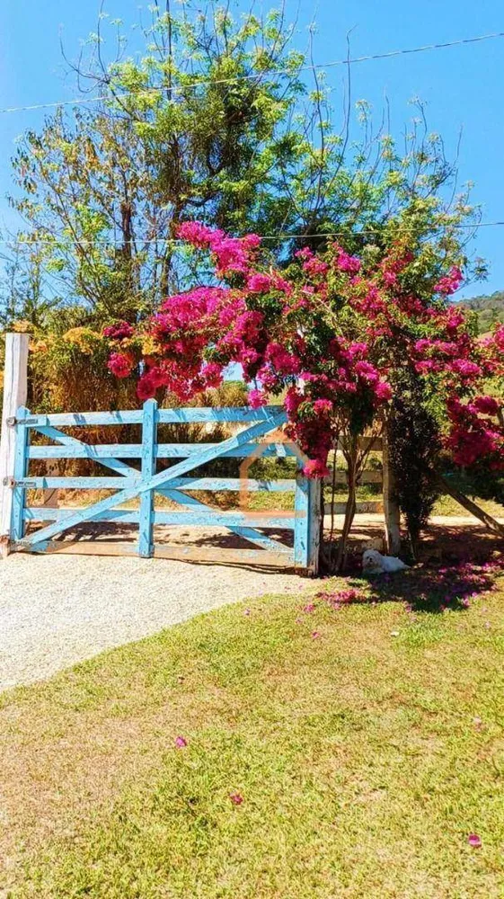 Chácara, 4 quartos, 5000 m² - Foto 8