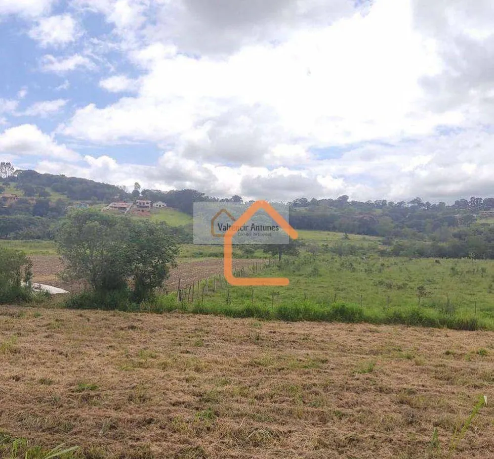 Terreno, 3 hectares - Foto 4