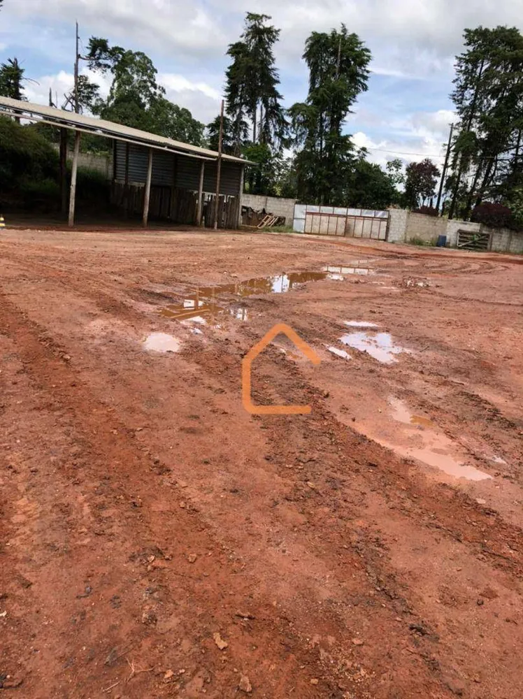 Terreno, 9 hectares - Foto 6