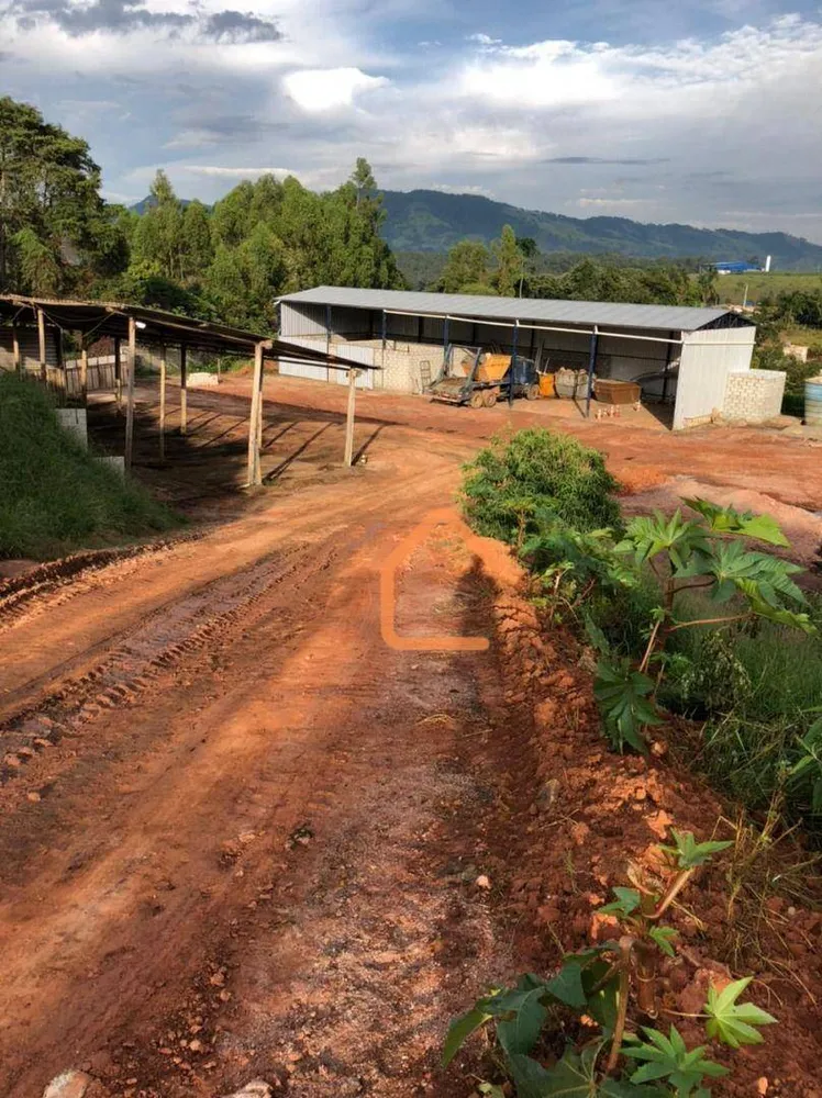 Terreno, 9 hectares - Foto 3