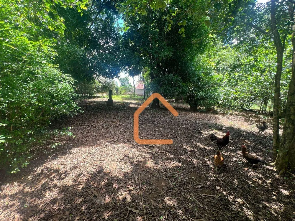 Terreno, 1350 m² - Foto 4