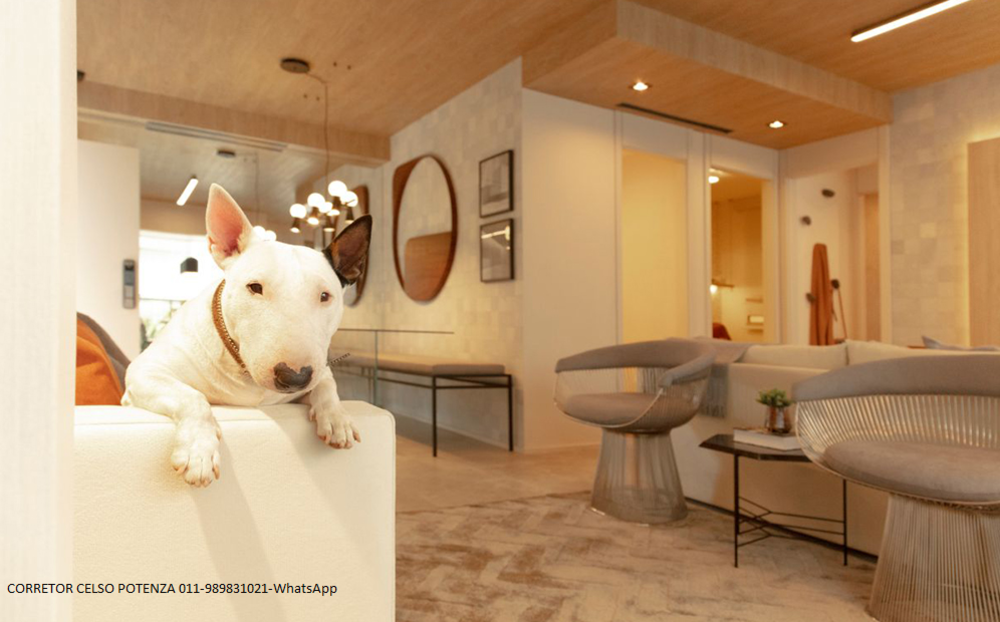 Apartamento à venda com 3 quartos, 70m² - Foto 18