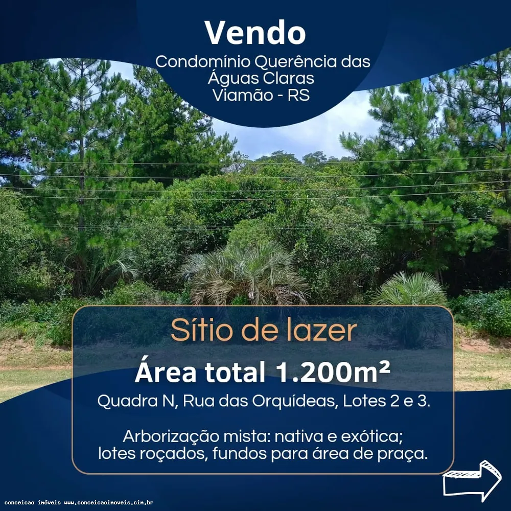 Terreno, 1200 m² - Foto 1