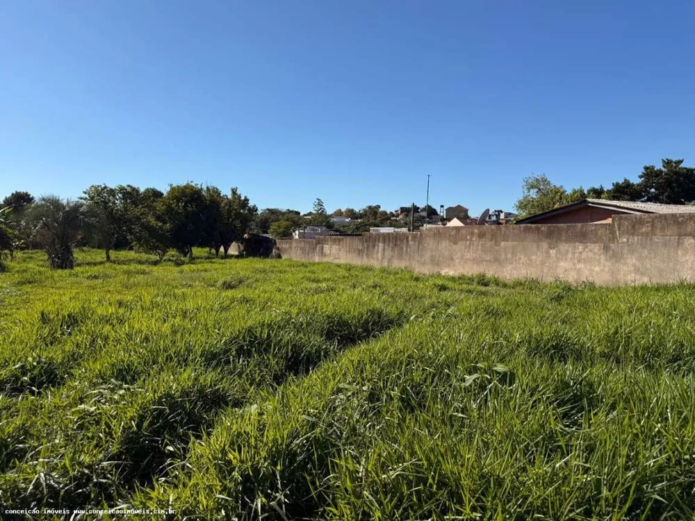 Terreno, 2398 m² - Foto 4