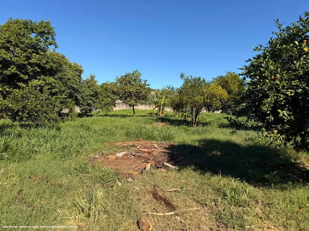 Terreno, 2398 m² - Foto 3