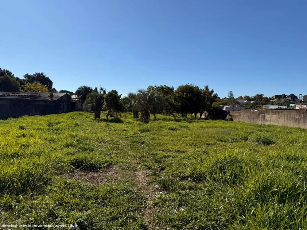 Terreno, 2398 m² - Foto 8