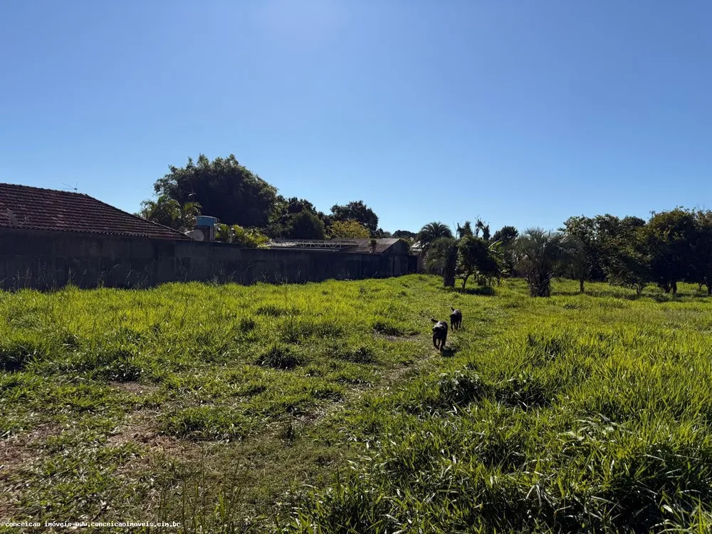 Terreno, 2398 m² - Foto 7