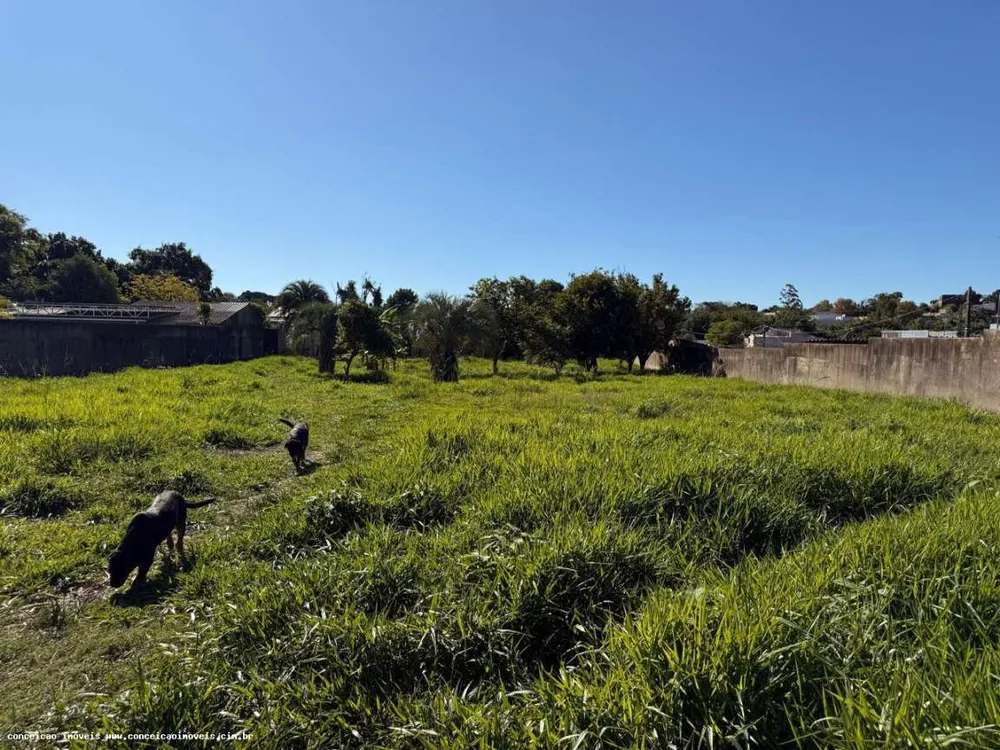 Terreno, 2398 m² - Foto 11