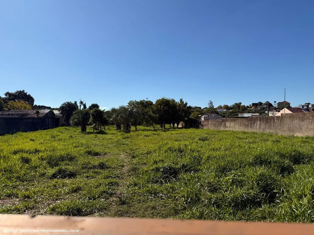 Terreno, 2398 m² - Foto 2
