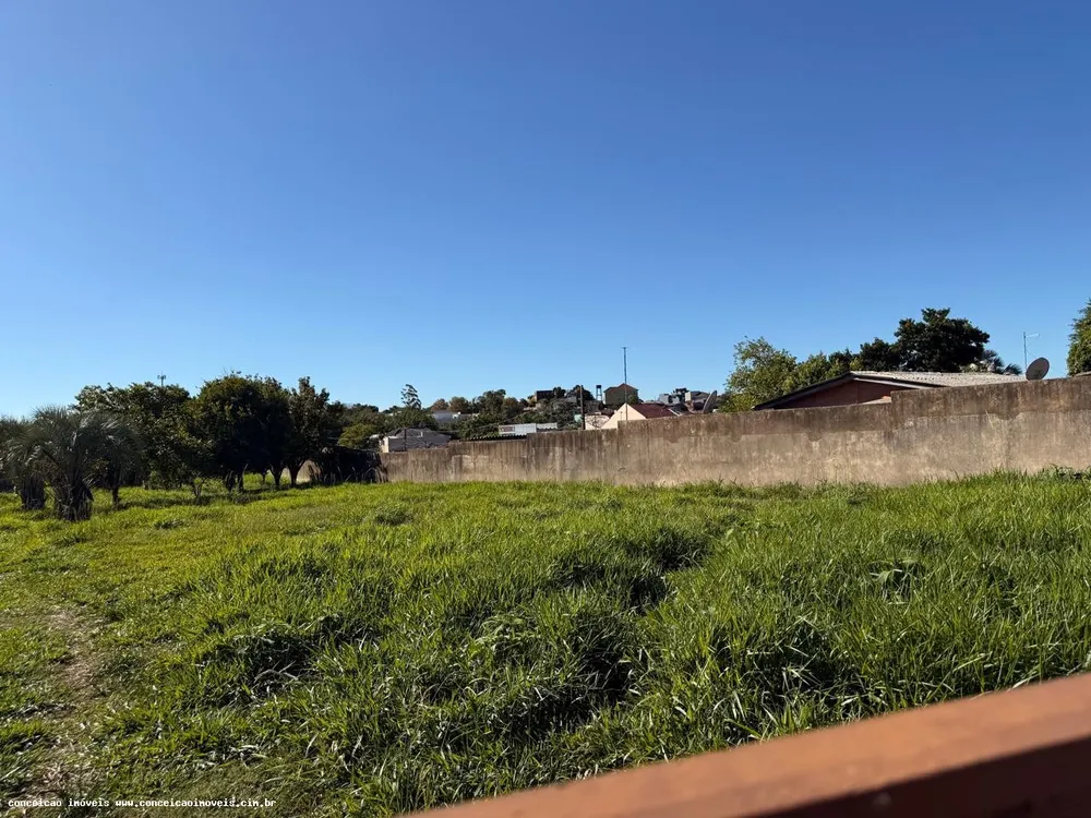 Terreno, 2398 m² - Foto 6
