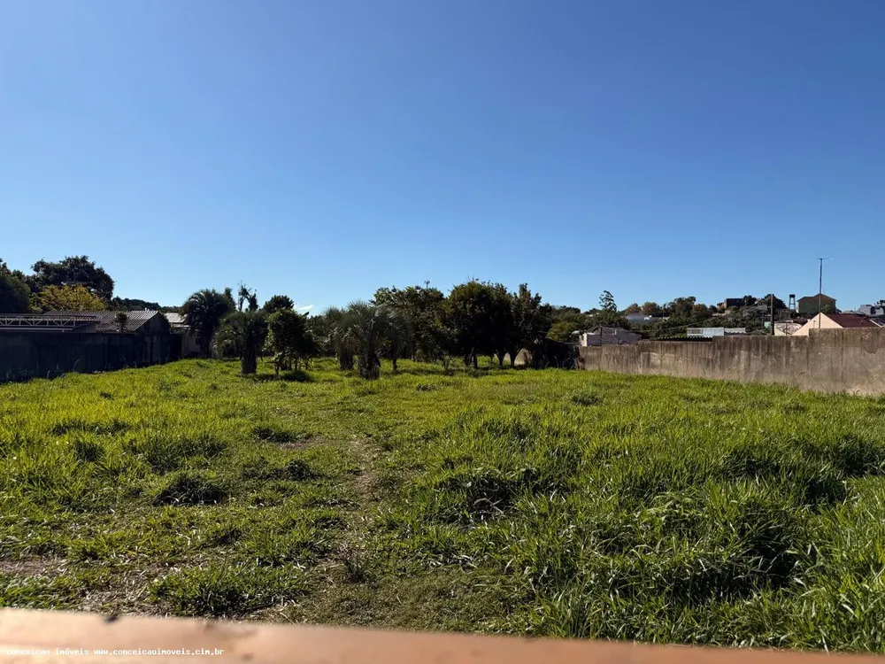 Terreno, 2398 m² - Foto 8