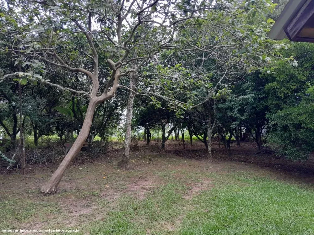 Sítio, 1 quarto, 2500 m² - Foto 11