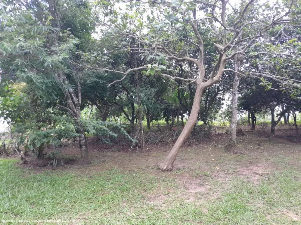 Chácara, 1 quarto, 2500 m² - Foto 6