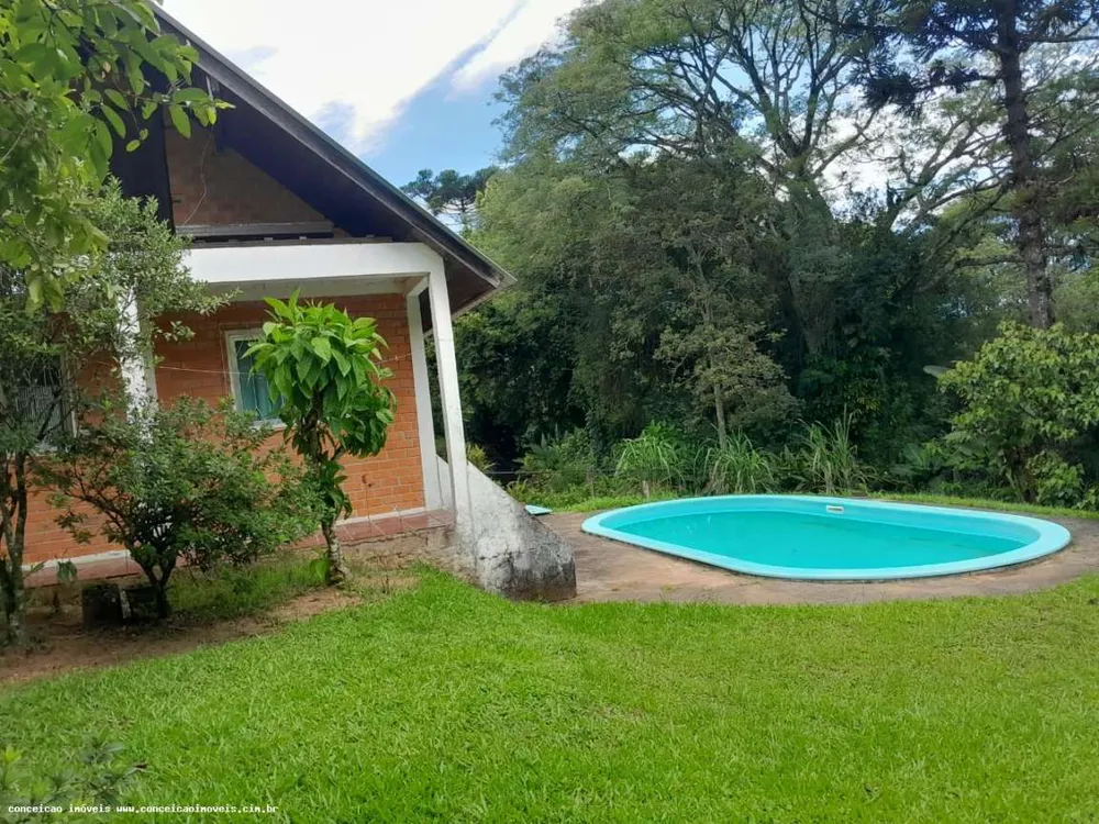 Sítio, 1 quarto, 2500 m² - Foto 3