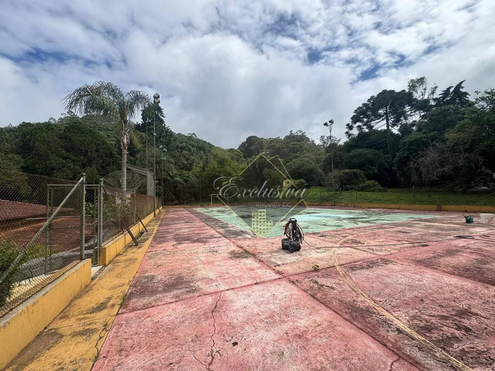 Chácara, 5 quartos, 58 hectares - Foto 4