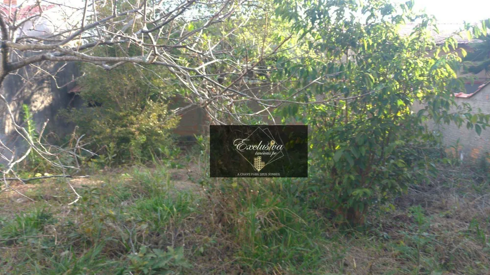 Terreno, 250 m² - Foto 3