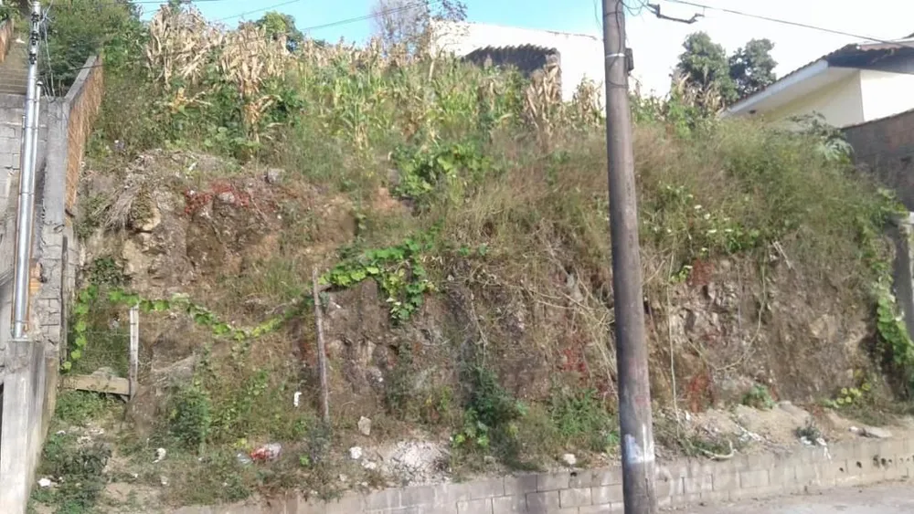 Terreno, 300 m² - Foto 2