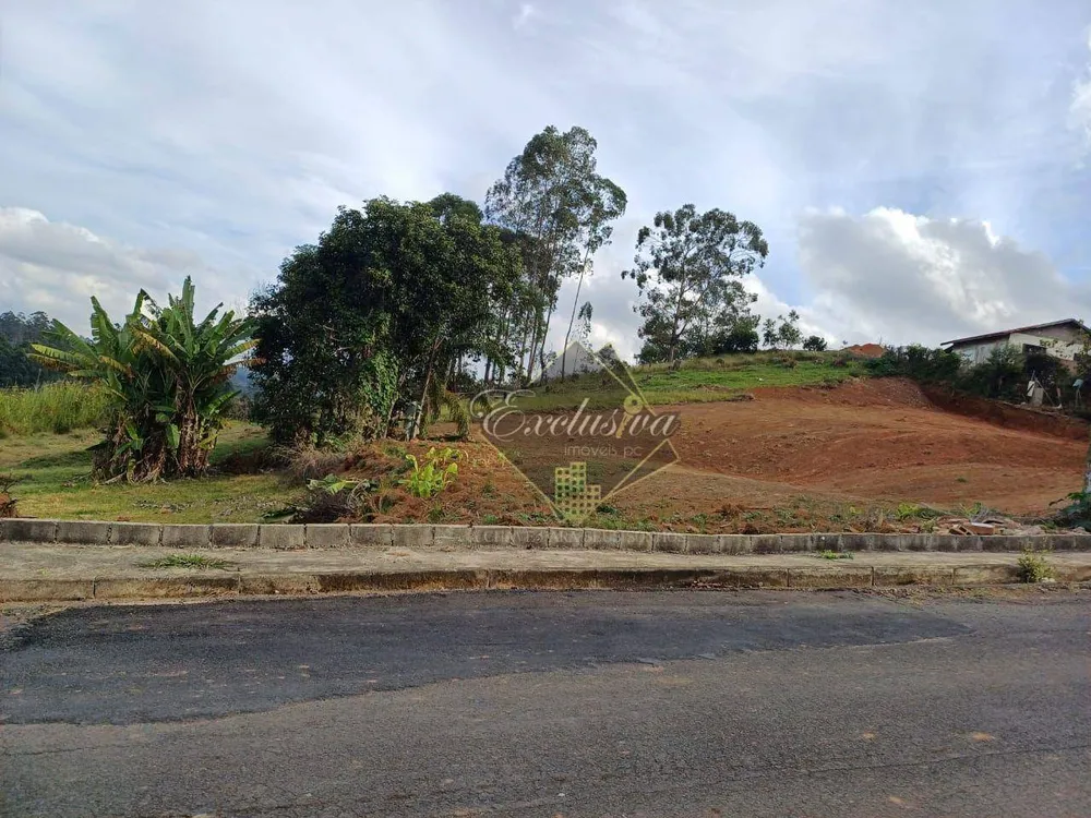 Terreno, 5650 m² - Foto 4