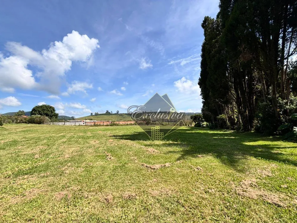 Chácara, 3 quartos, 3752 m² - Foto 5