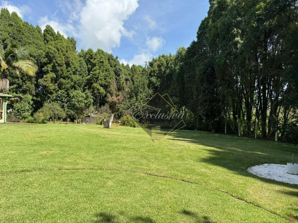 Chácara, 3 quartos, 3752 m² - Foto 4