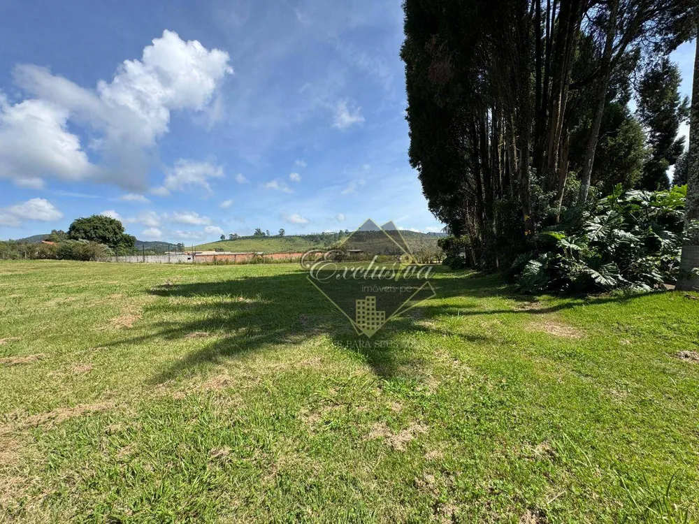Chácara, 3 quartos, 3752 m² - Foto 5
