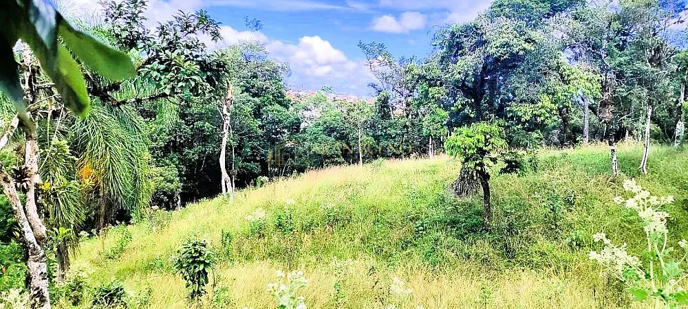 Terreno, 1 hectares - Foto 4