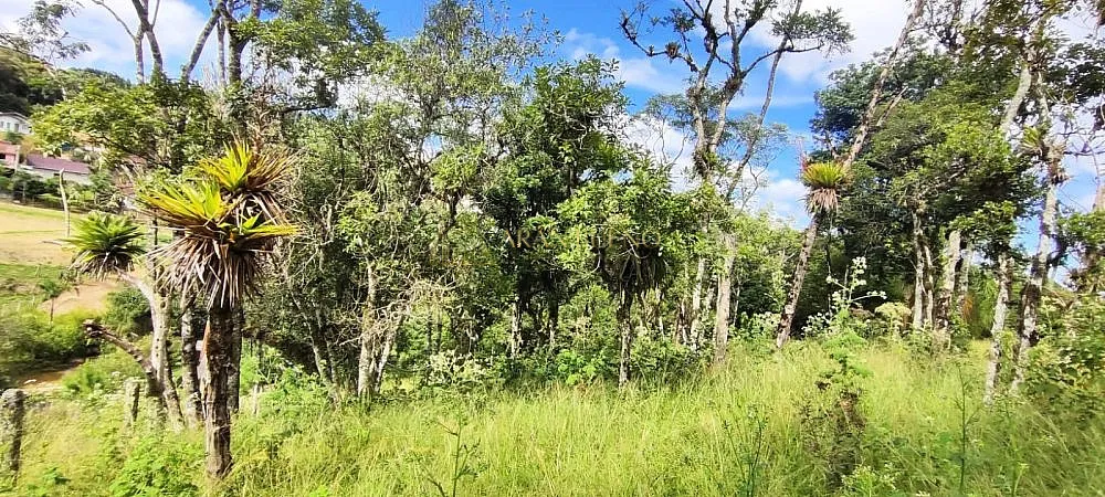 Terreno, 1 hectares - Foto 1
