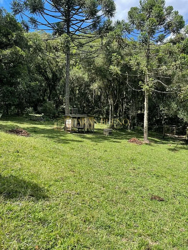 Sítio, 2 quartos, 960 m² - Foto 1
