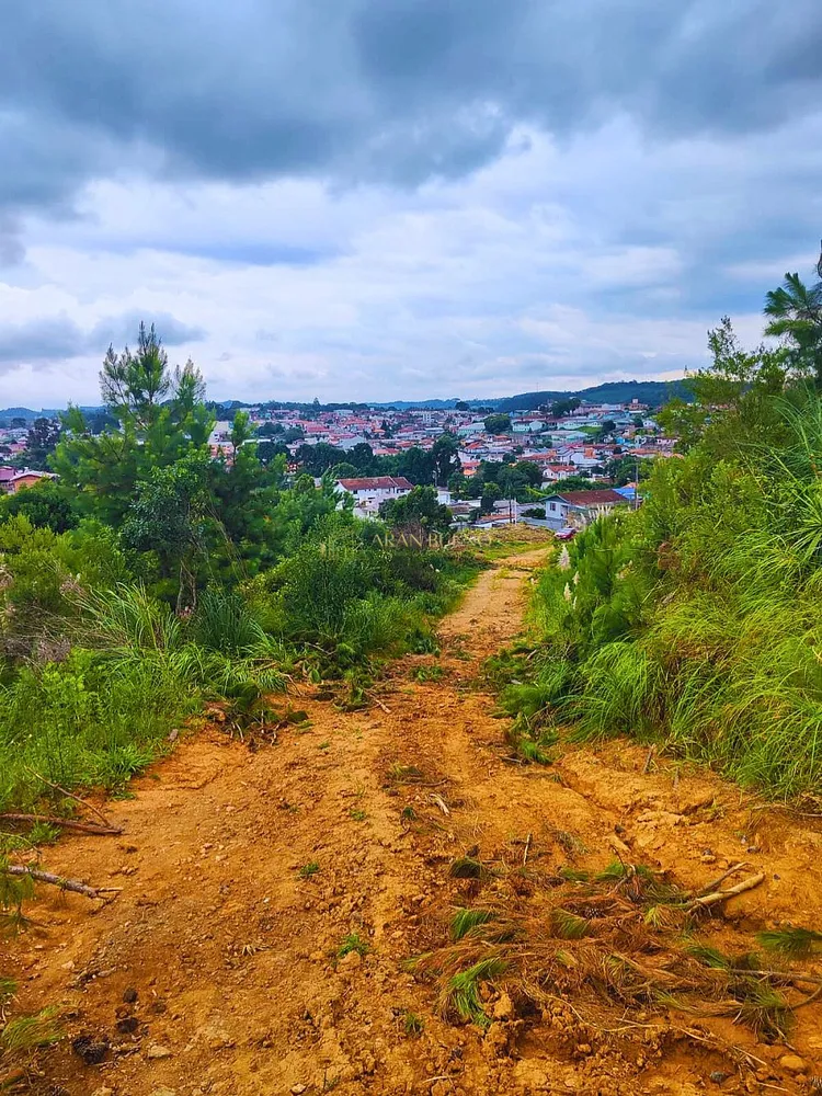 Terreno - Foto 4