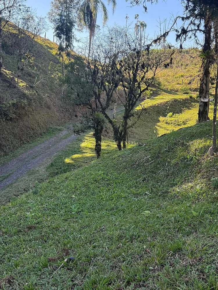 Sítio, 400 m² - Foto 3