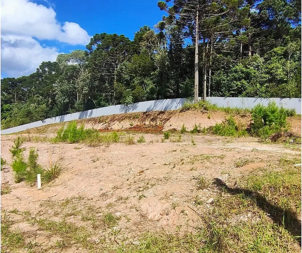 Terreno, 794 m² - Foto 2