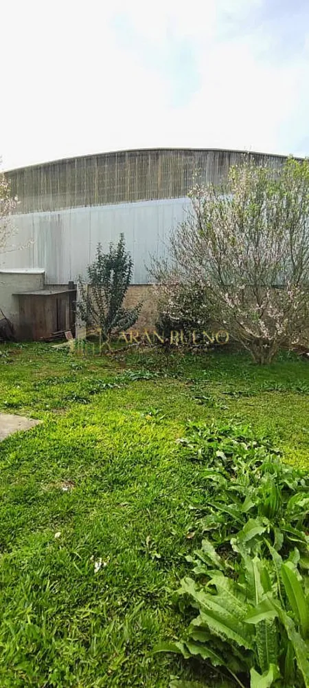 Casa, 3 quartos, 39 m² - Foto 4