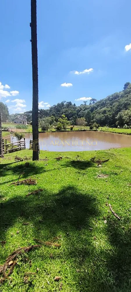Sítio, 3 quartos, 3 hectares - Foto 2