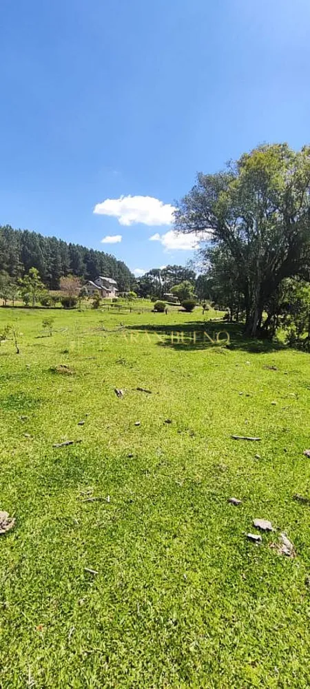 Sítio, 3 quartos, 3 hectares - Foto 3