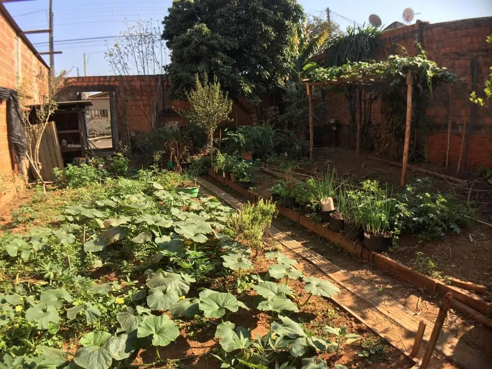 Terreno, 250 m² - Foto 3