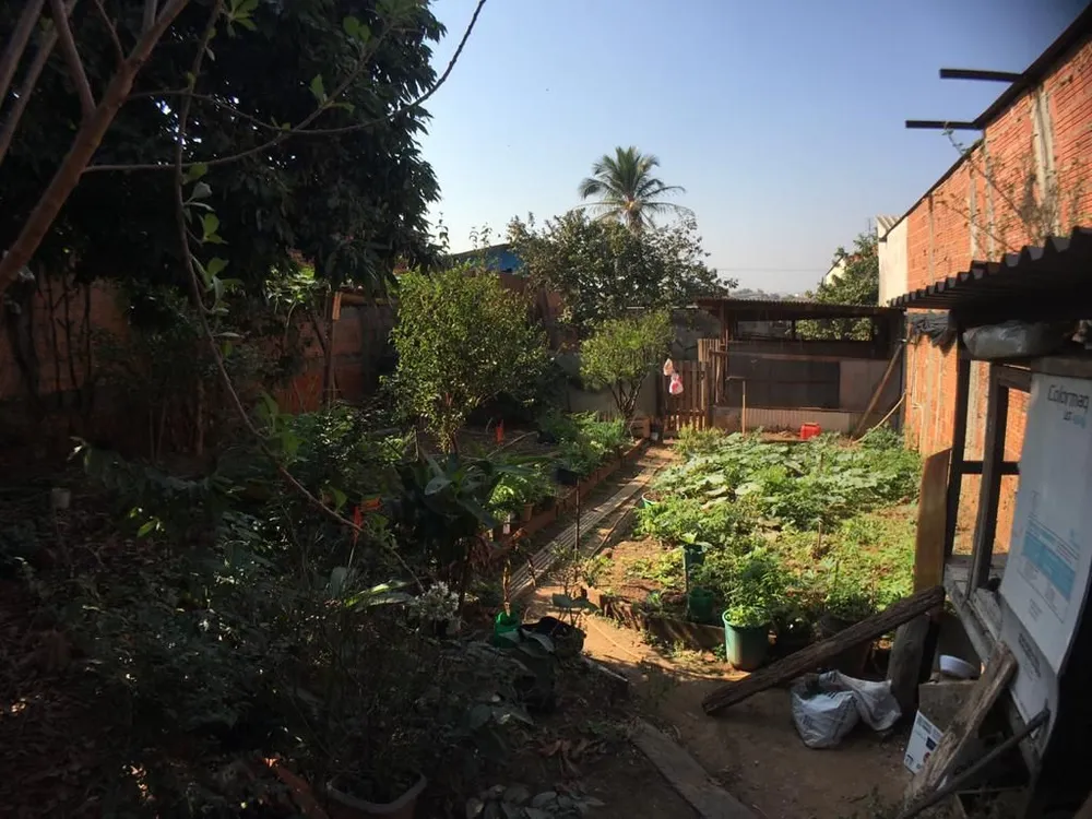 Terreno, 250 m² - Foto 4