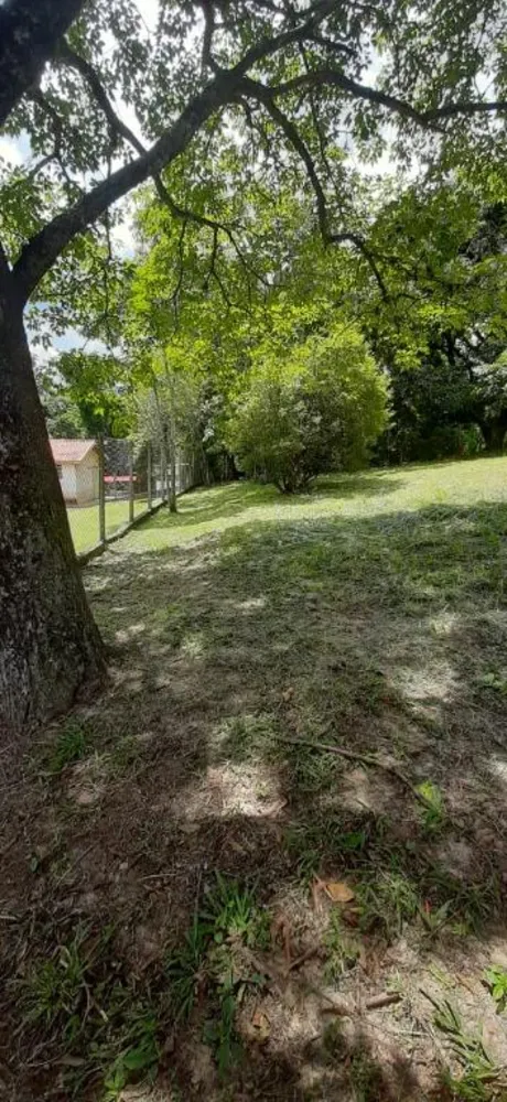 Terreno, 408 m² - Foto 4