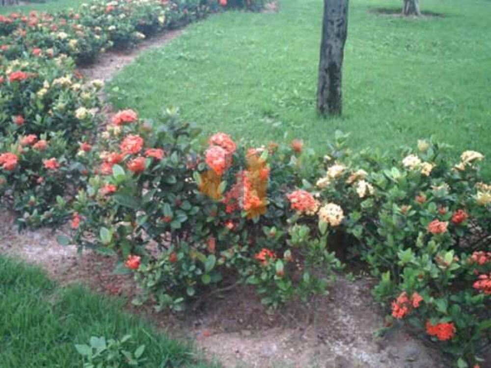 Terreno, 360 m² - Foto 4