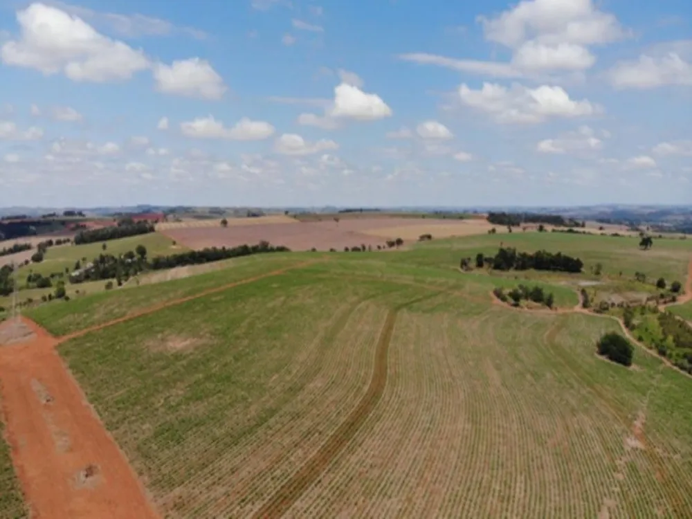 Fazenda, 304 hectares - Foto 2