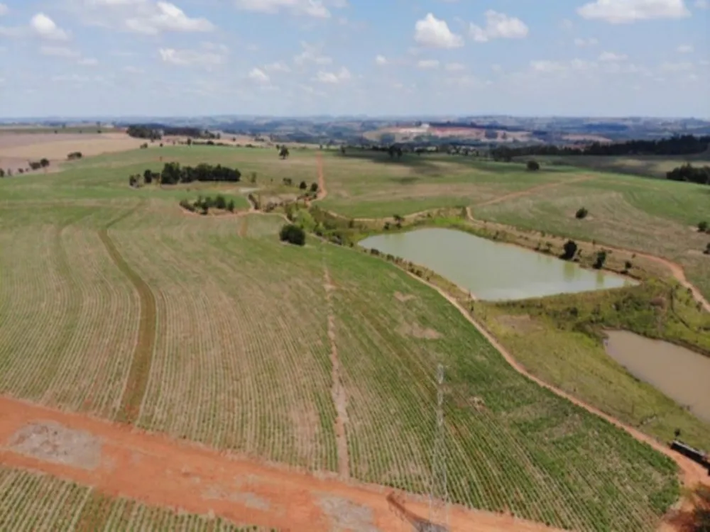 Fazenda, 304 hectares - Foto 4