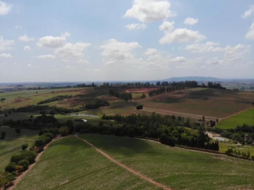 Fazenda, 304 hectares - Foto 1