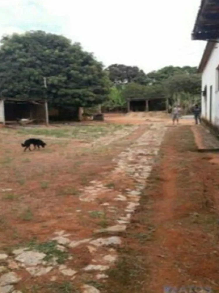 Terreno, 6000 m² - Foto 3